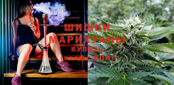 PSILOCYBIN Протвино