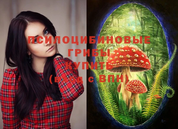 PSILOCYBIN Протвино