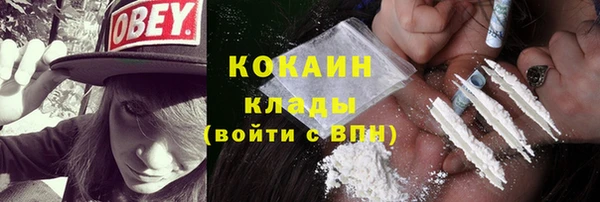 тгк Пролетарск