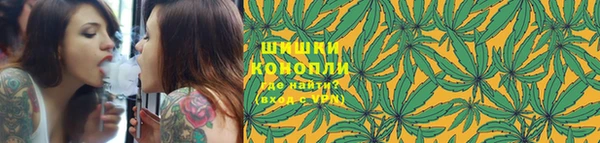 PSILOCYBIN Протвино