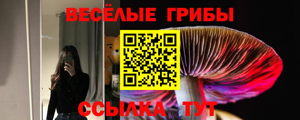 Псилоцибиновые грибы Magic Shrooms Сертолово